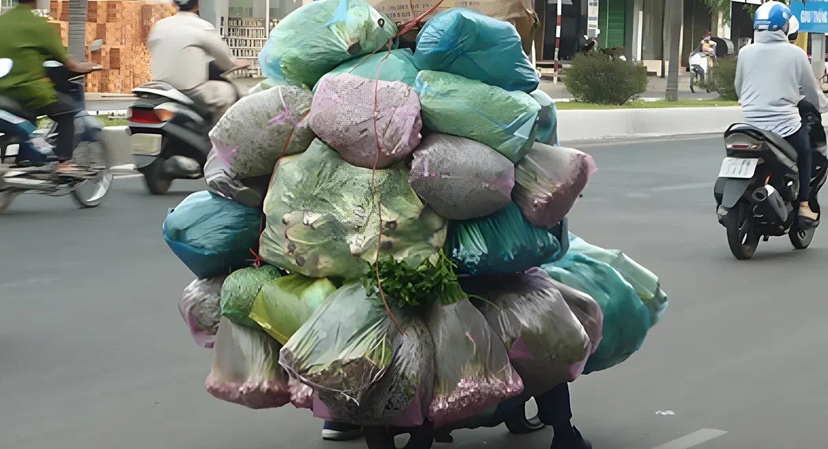 Không chở quá tải trọng cho phép