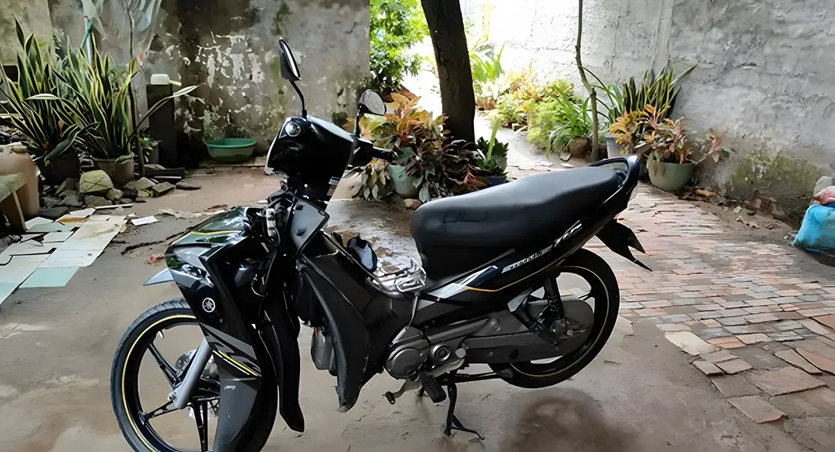 Mẹo hạn chế tình trạng đầu xe Sirius bị rung hiệu quả