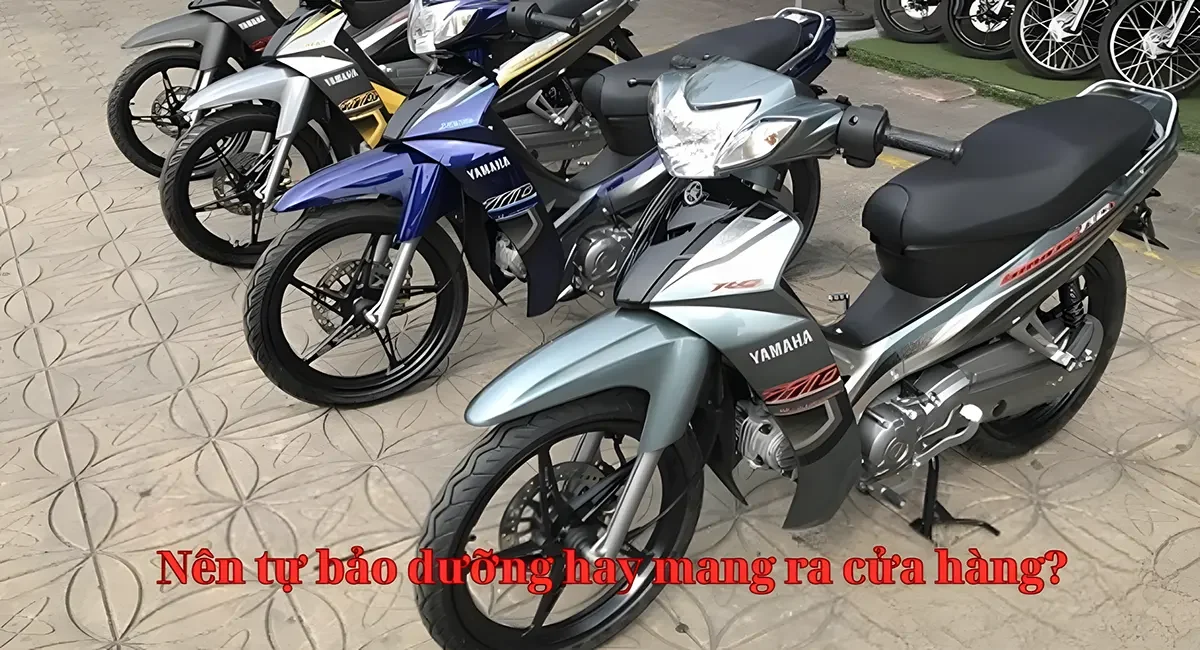 Nên tự bảo dưỡng hay mang ra cửa hàng?